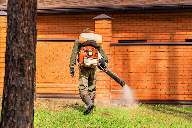 Trusted Emergency Pest Control service in Colville, WA - Nex Pest Control